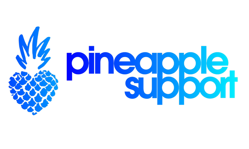 Pineapple Support to Host Annual Mental Health Summit Dec. 15-17