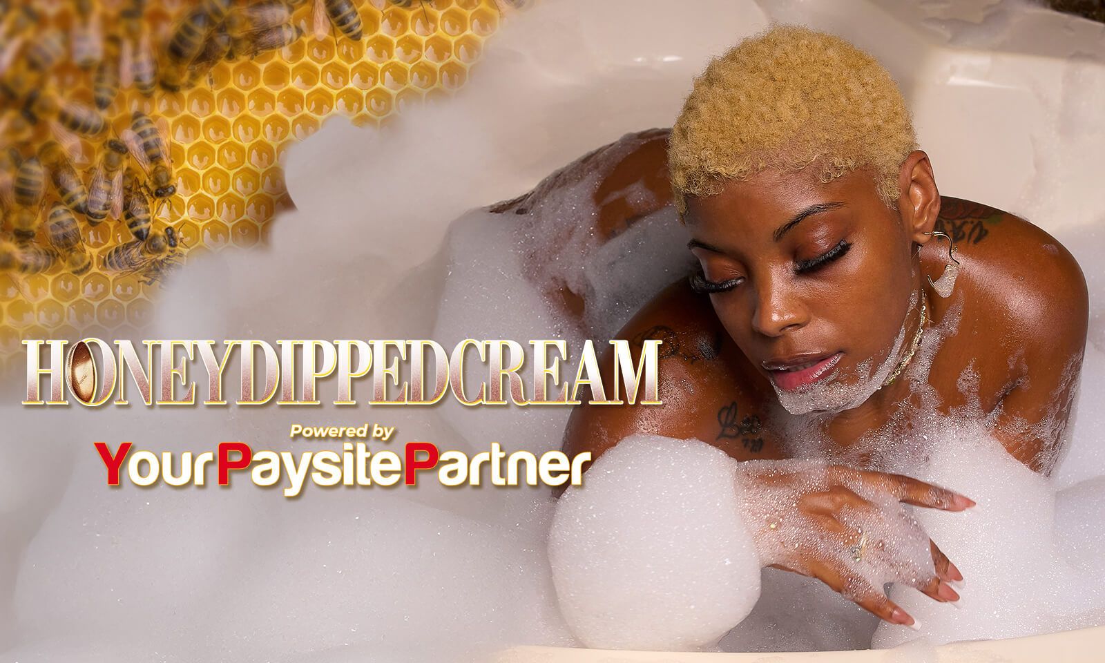 HoneyDipped C. Partners With YourPaysitePartner