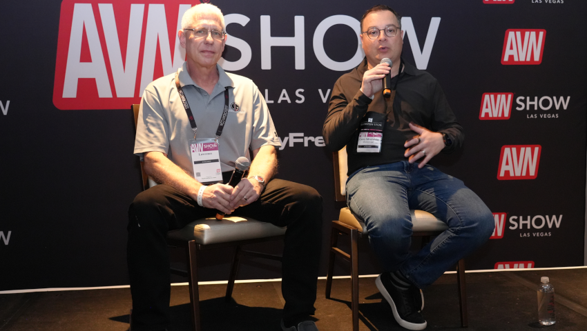 Top Industry Attorneys Answer Legal Questions at AVN