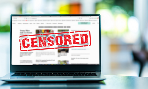 Legal Brothel Sex Workers in Nevada Lose Social Media Accounts