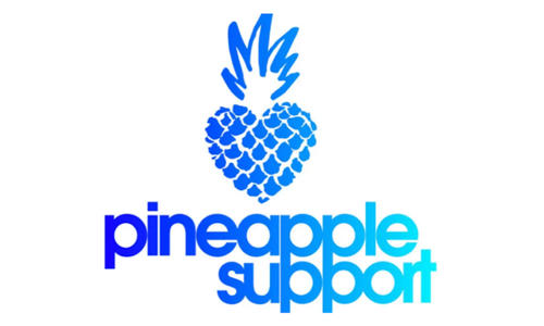 Pineapple Support to Host Panel at TES Marbella