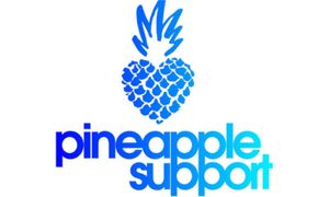 Pineapple Support Honored at GHP Mental Health Awards