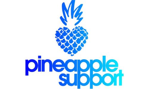 Pineapple Support Honored at GHP Mental Health Awards