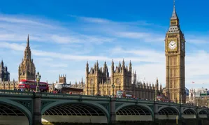 U.K. Government Poised to Ban 'Taboo' and Step Incest Porn