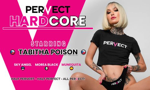 Pervect Streets ‘Pervect Hardcore’