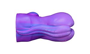 Phoebe’s Signature