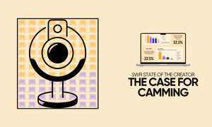 SWR Data: Cammers Better Insulated From Impact of 'War on Porn'