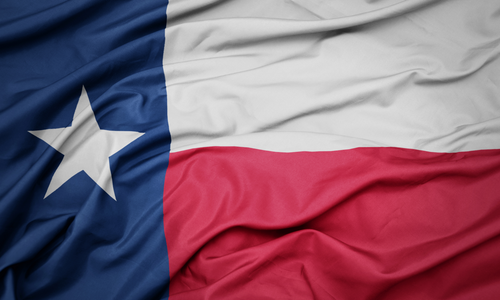 Texas AG 'Locks' Motherless.com Domain Over AV Non-Compliance