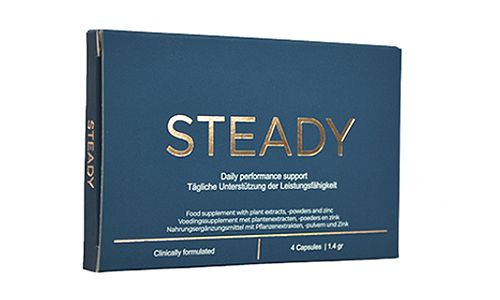 Steady Daily Performance Support