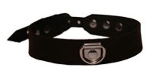 Elegant Playtime Sub Collar