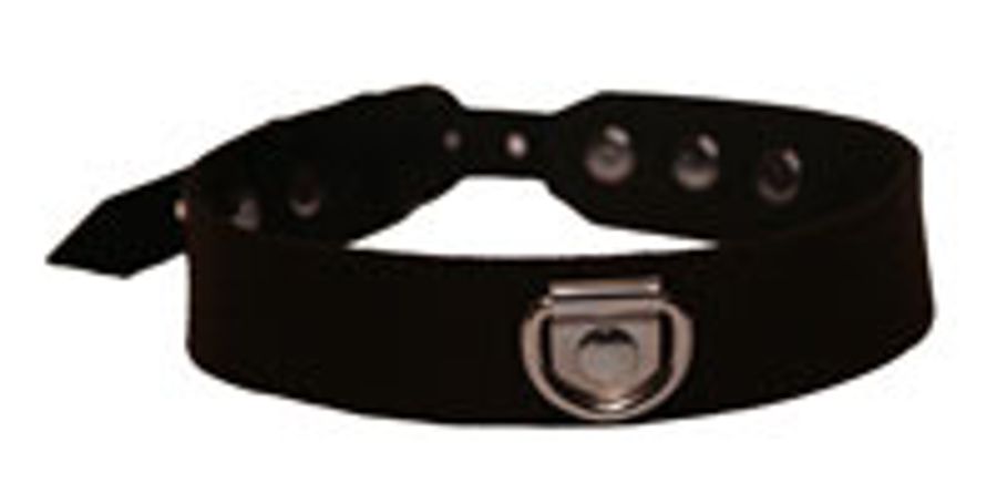 Elegant Playtime Sub Collar