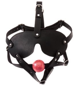 Blindfold with Gag Combo