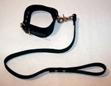 Playtime Sub Collar/Leather Lead