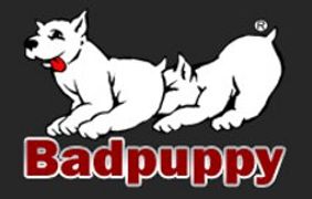 Badpuppy Celebrates 15th Year