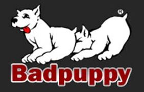 Badpuppy Gets Treats: Seven Noms in 2012 Cybersocket Awards