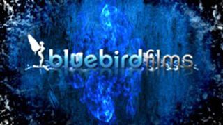 Bluebird Films Unveils Sexy Twitter Picture Posting Site