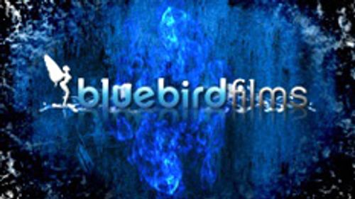 New Bluebird Films Movie Attracts Interest from Sugar Daddies Inc. Agency