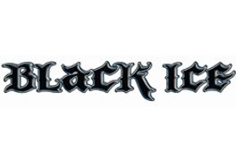 ZT Launches BlackIcePass HD Black/Interracial Niche Site