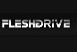 FleshDrive Releases New Combat Zone Drive