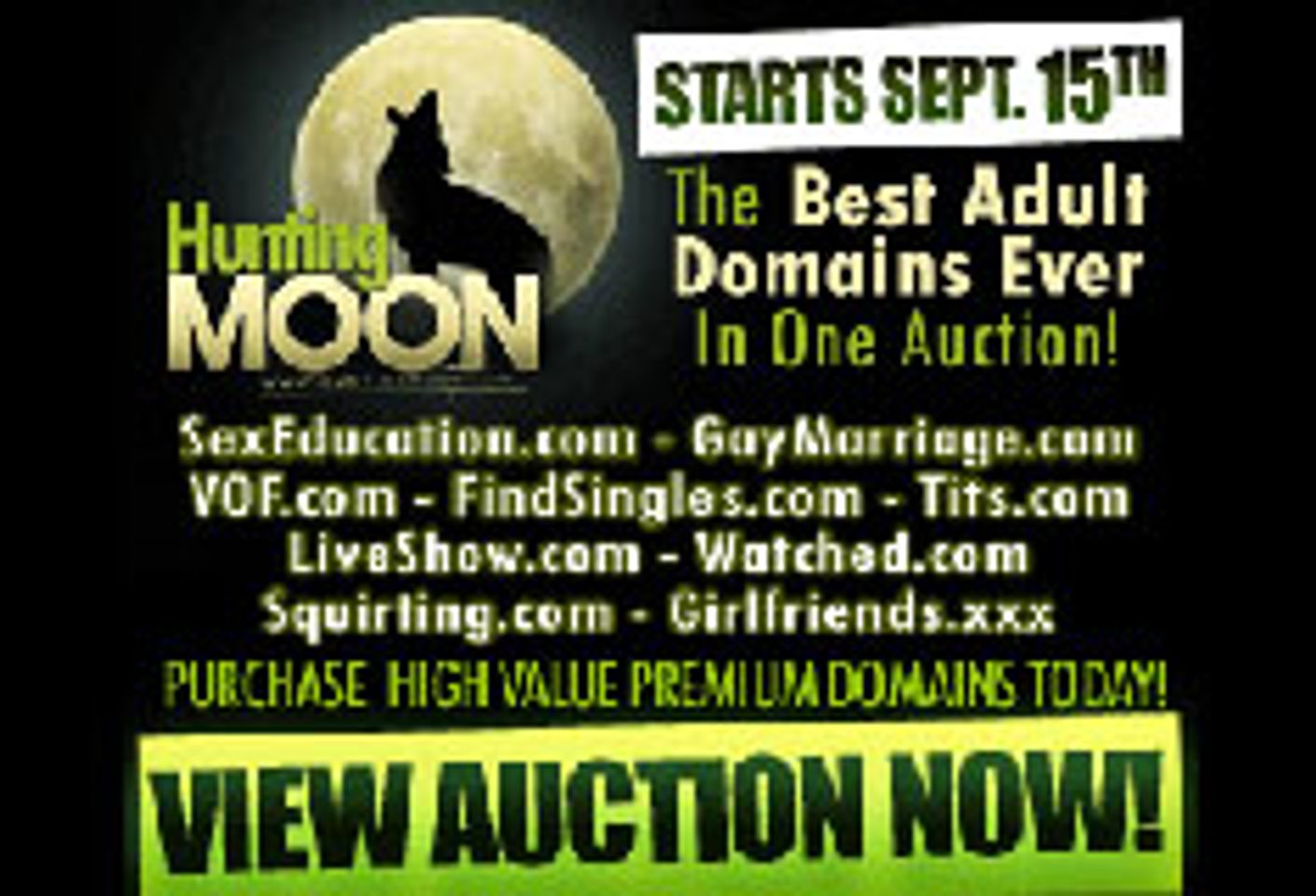 Internext HuntingMoon.com Domain Auction Runs Through Feb. 9