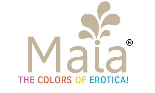 Maia Toys Reps Conducting Training Event in Texas