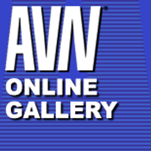 AVN Online Galleries - Image 6645