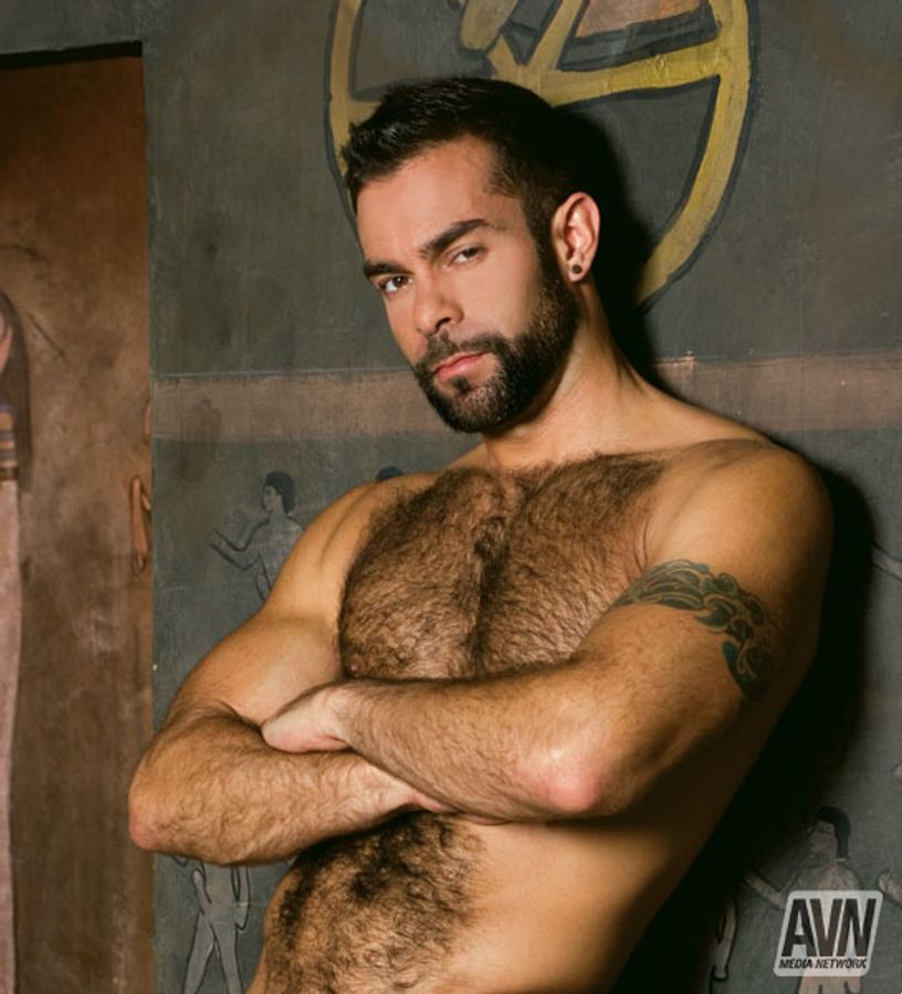 Raging Stallion's 2009 calendars, Grunts and Stallions