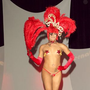 International Lingerie Show, Fall 2008 - Image 60237