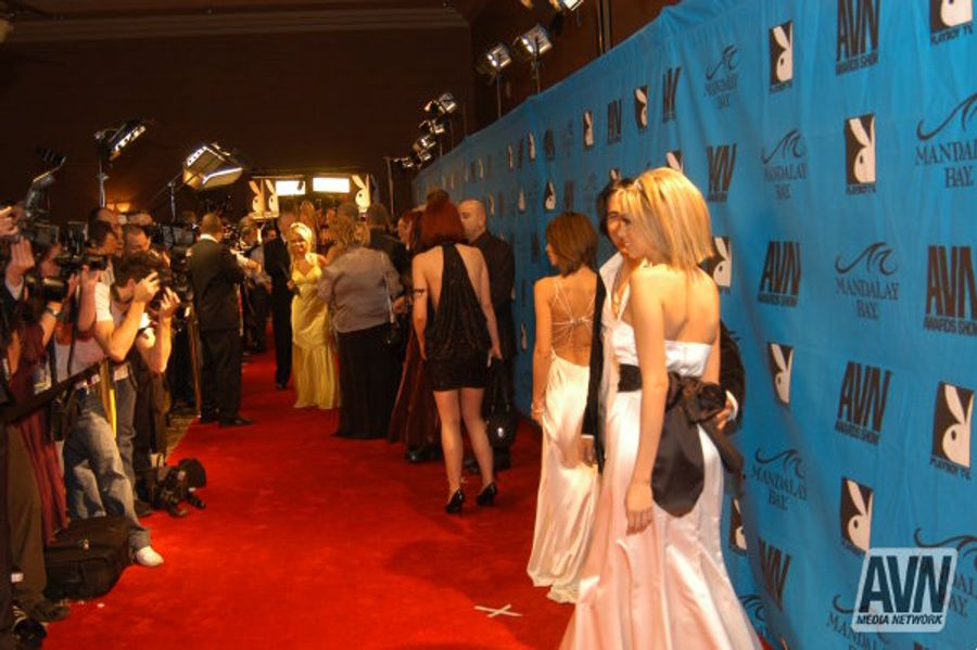 2008 AVN Adult Movie Awards Red Carpet part 2
