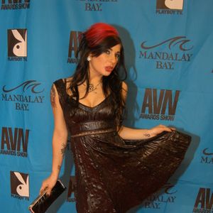 2008 AVN Adult Movie Awards Red Carpet part 2 - Image 28668