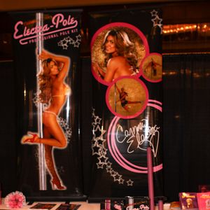 AVN Novelty Expo 2009 - Day Two - Image 93552