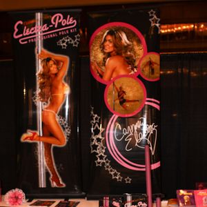 AVN Novelty Expo 2009 - Day Two - Image 93552