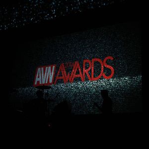 2014 AVN Awards - Stage Show (Gallery 4) - Image 314475