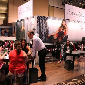 Fall 2015 International Lingerie Show - Image 378456