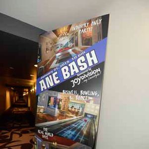 AVN Novelty Expo 2015 - ANE Bash in Real World Suite - Image 357111