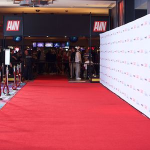 AVN Awards 2015 - Behind the Red Carpet (Gallery 1) - Image 359730