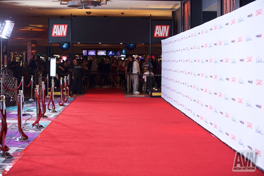 AVN Awards 2015 - Behind the Red Carpet (Gallery 1)