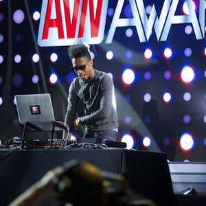 2015 AVN Awards Show Stage - Gallery 1 - Image 358617