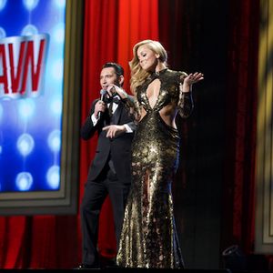 2015 AVN Awards Show Stage - Gallery 1 - Image 358677