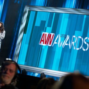 2015 AVN Awards Show Stage - Gallery 1 - Image 358683
