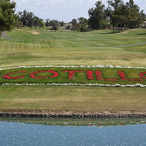 Phoenix Forum 2016 - 12th Annual Golf Tournament - Image 421215