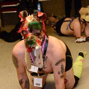 DomConLA 2016 - Pet and Pony Shows - Image 430830