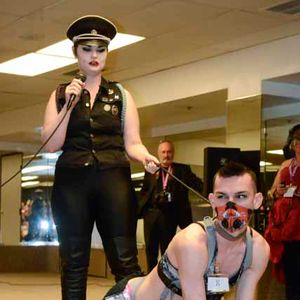 DomConLA 2016 - Pet and Pony Shows - Image 430926