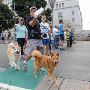 AIds Walk LA - 2016 (Gallery 2) - Image 455511