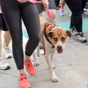 AIds Walk LA - 2016 (Gallery 2) - Image 455550