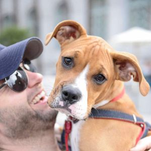 AIds Walk LA - 2016 (Gallery 2) - Image 455481