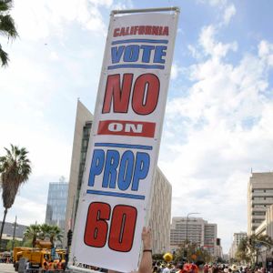 AIds Walk LA - 2016 (Gallery 2) - Image 455619