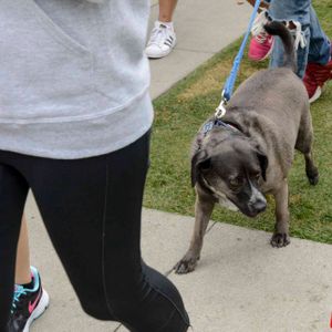 AIDS Walk LA - 2016 (Gallery 3) - Image 455691