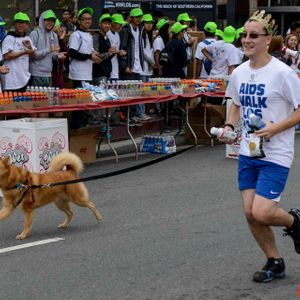 AIDS Walk LA - 2016 (Gallery 3) - Image 455757