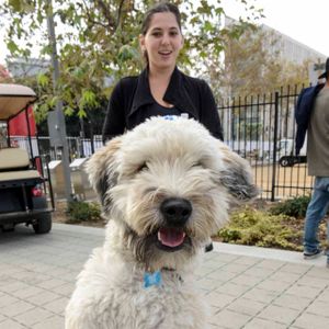 AIDS Walk LA - 2016 (Gallery 1) - Image 455289